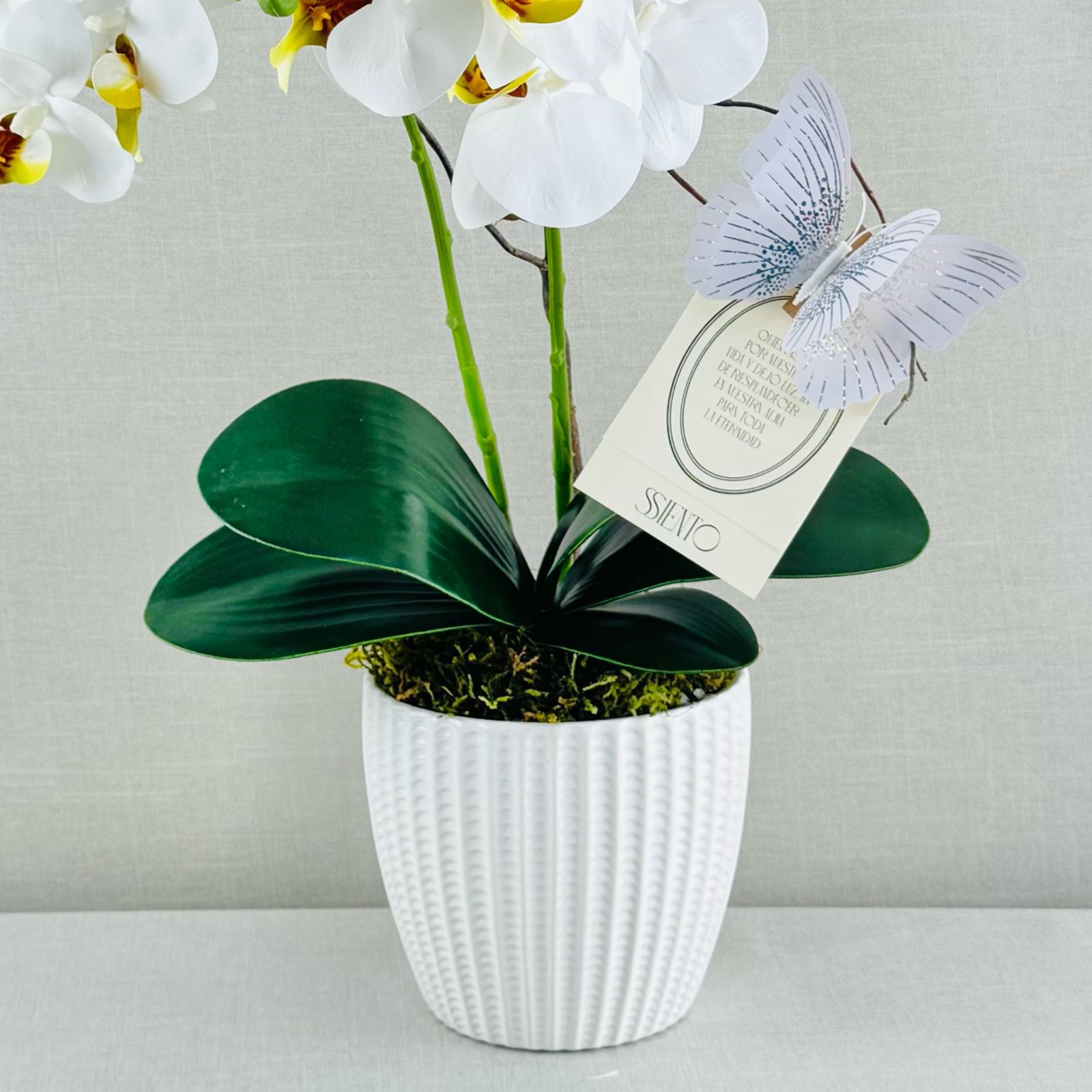 ORQUIDEAS NATURALES - Imagen 3