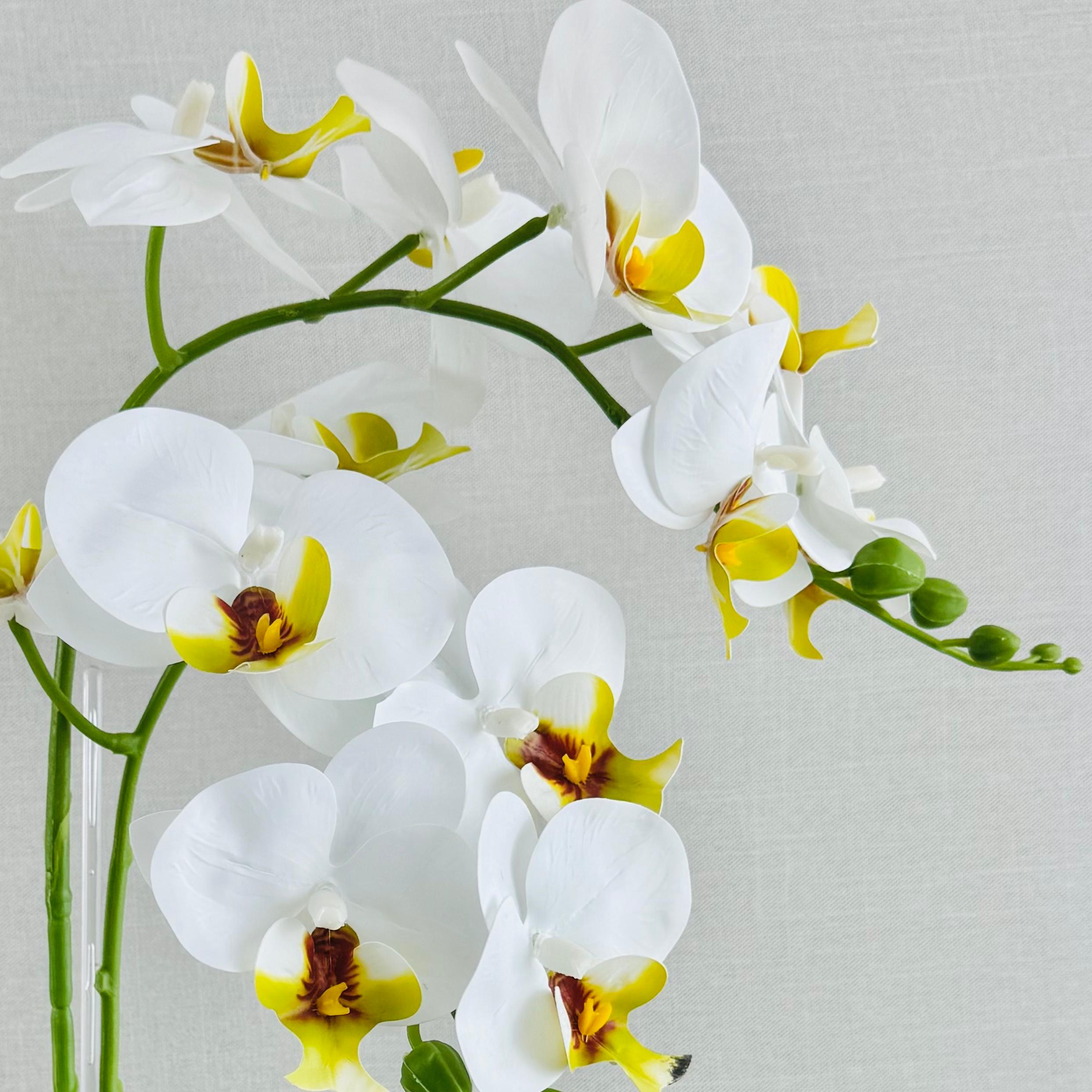 ORQUIDEA ARTIFICIAL - Imagen 2