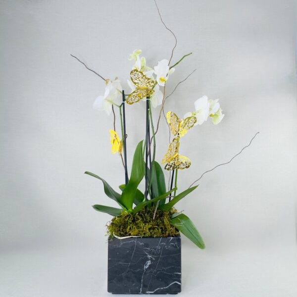 ORQUIDEAS NATURALES