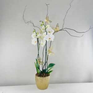 Orquidea Natura- Dorado 2