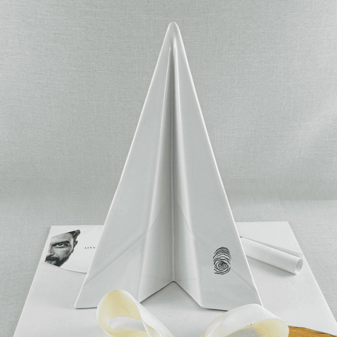 AVIÓN ÁLVARO CUEVAS GRANDE