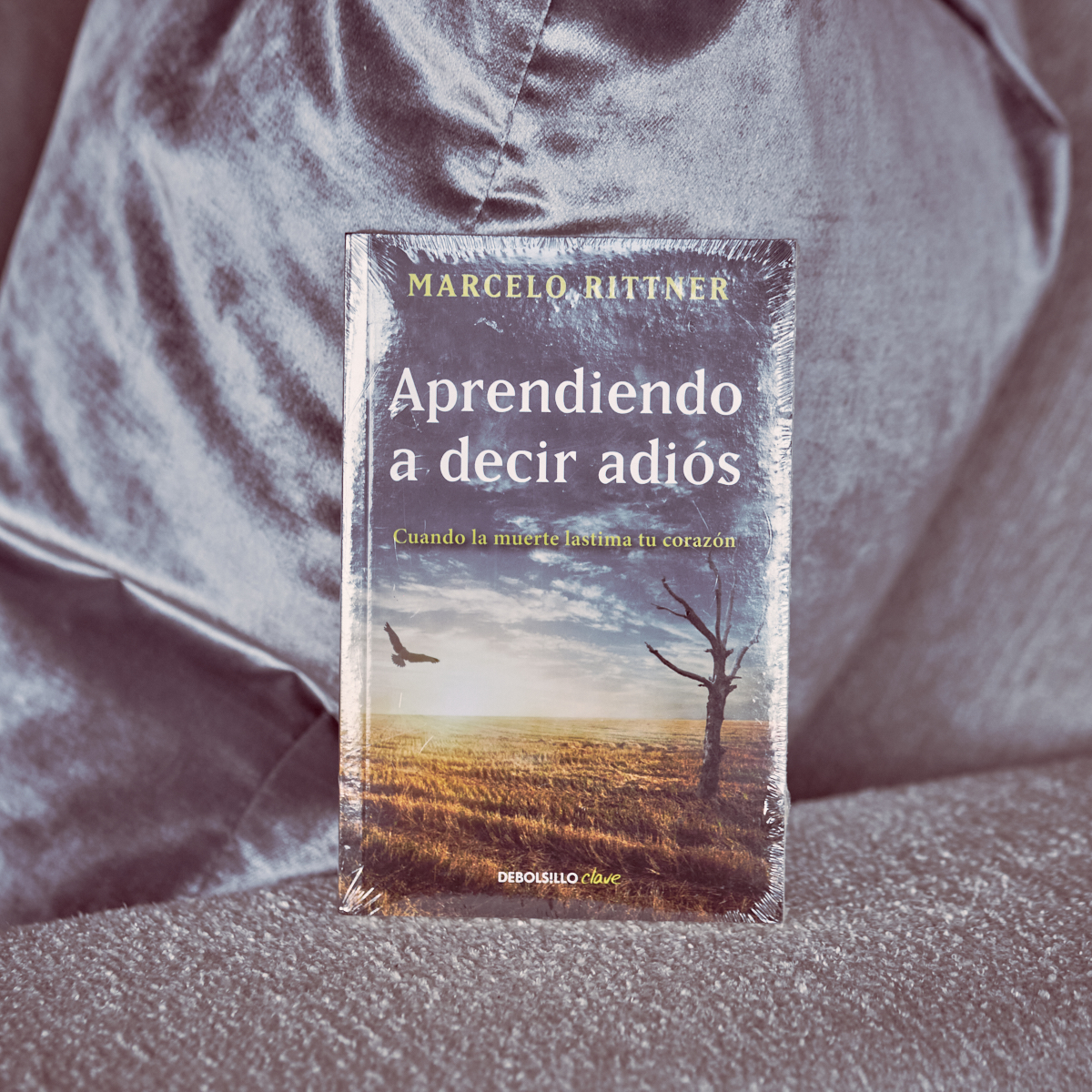 LIBRO, "Aprendiendo a decir adiós" y "El Camino de las Lágrimas" - Imagen 2