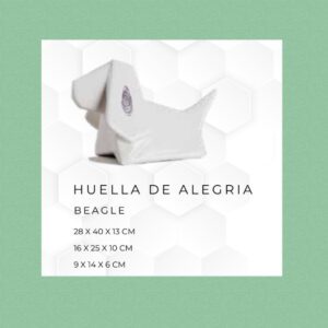 PERRO BEAGLE, ALVARO CUEVAS