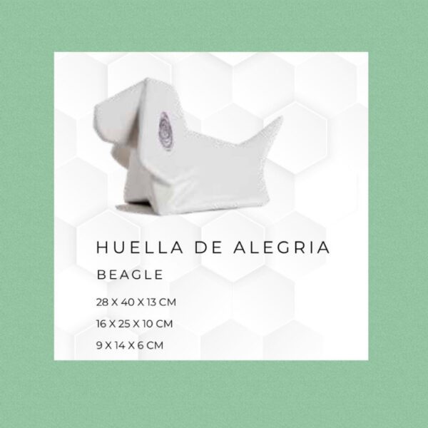 PERRO BEAGLE, ALVARO CUEVAS