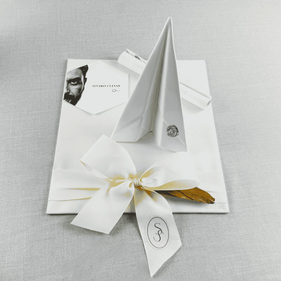 AVIÓN ÁLVARO CUEVAS 2