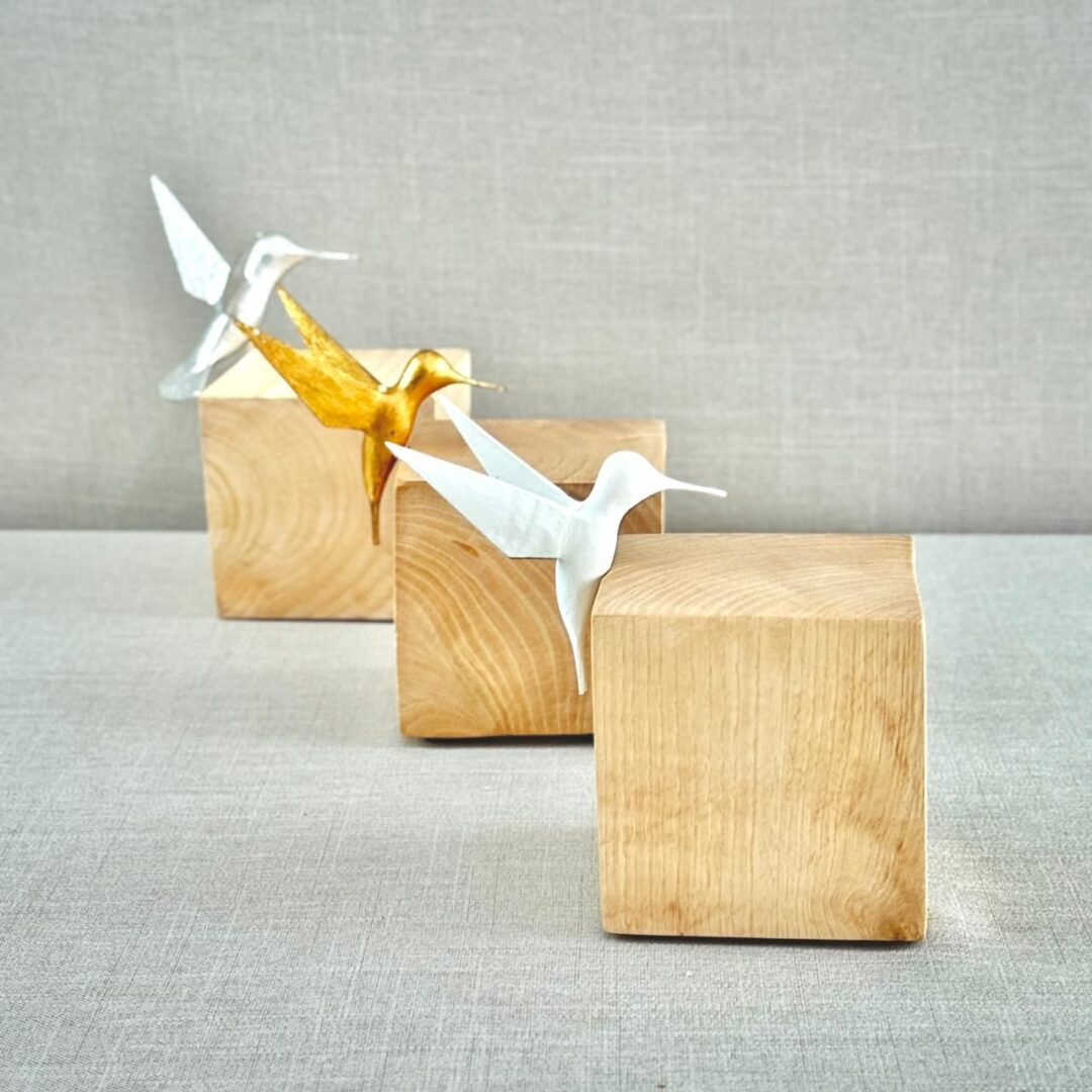 COLIBRÍ DAVIT NAVA CON ALAS