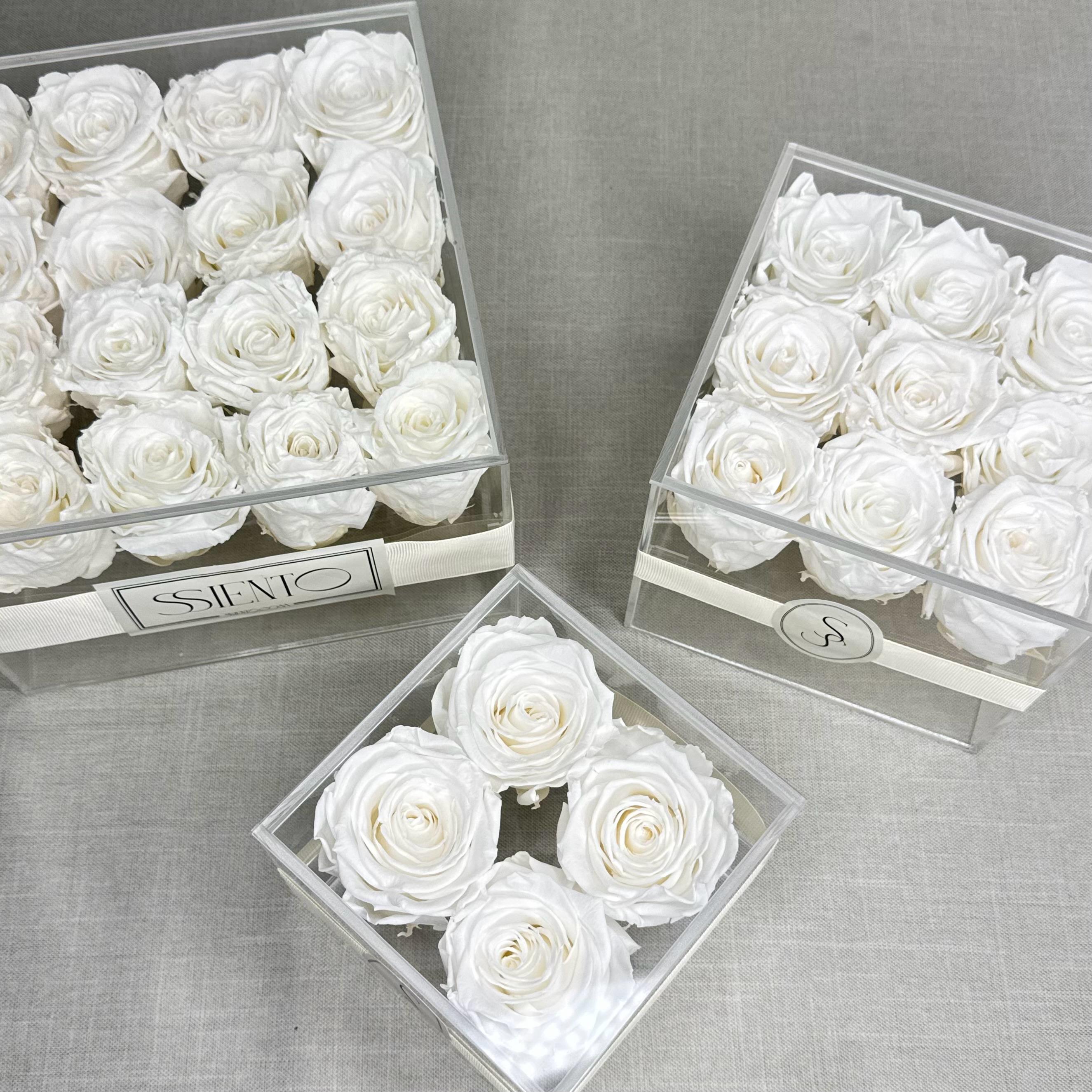 ROSAS BLANCAS PRESERVADAS EN CAJA DE ACRÍLICO