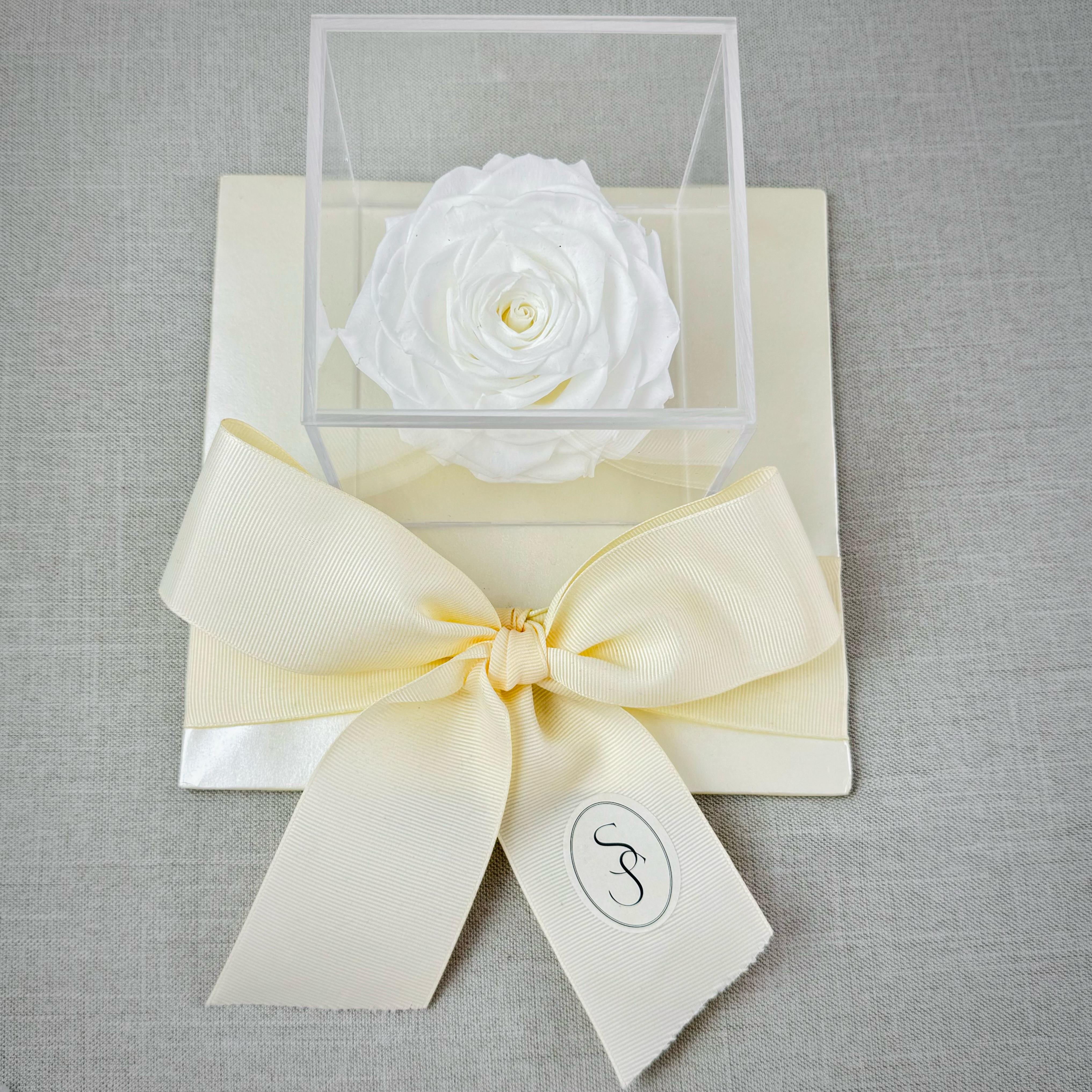 ROSAS BLANCAS PRESERVADAS EN CAJA DE ACRÍLICO - Imagen 2