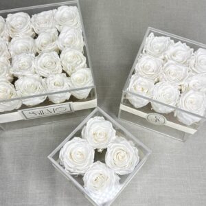 ROSAS BLANCAS PRESERVADAS EN CAJA DE ACRÍLICO