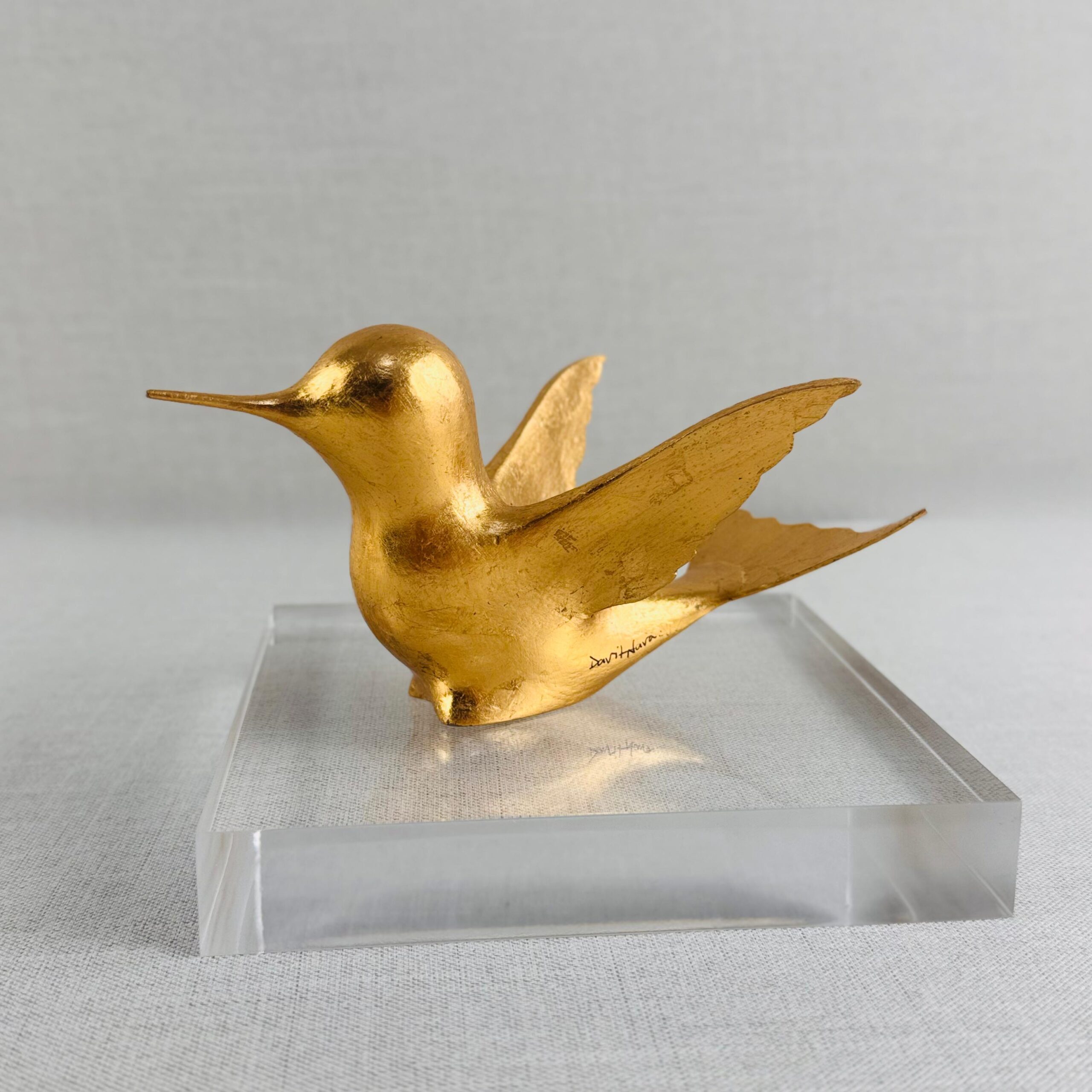 COLIBRÍ DE DAVIT NAVA - Imagen 3