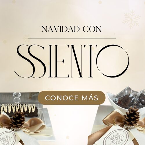 Detalles navideños SSIENTO