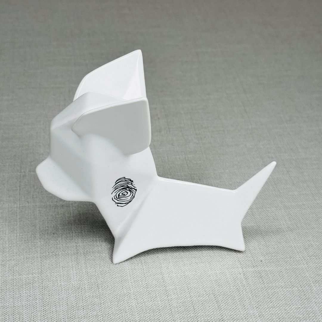 PERRO CHIHUAHUA A ÁLVARO CUEVAS