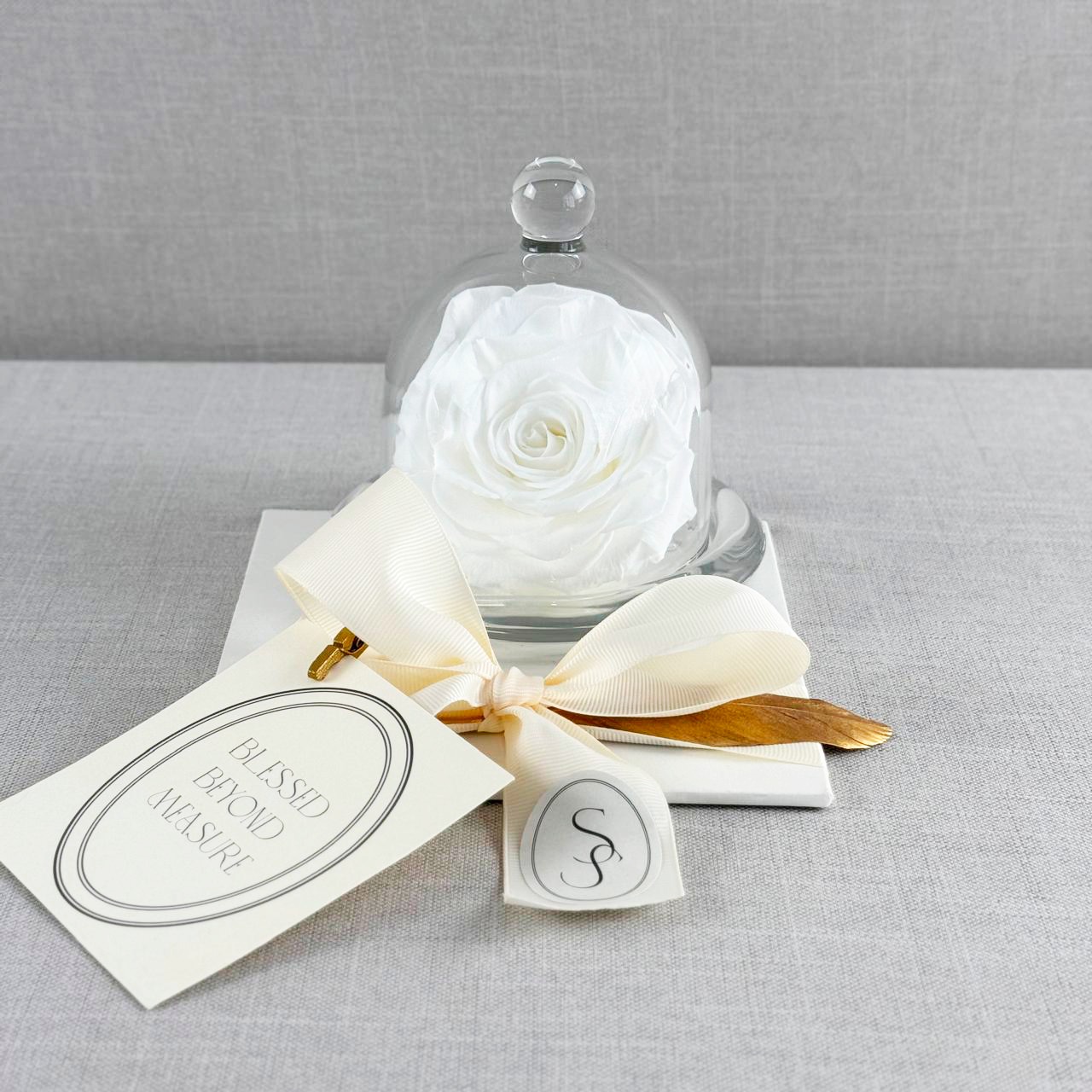 ROSA PRESERVADA EN CAPELO DE CRISTAL - Imagen 4