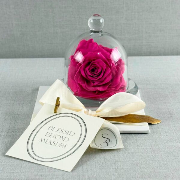 CAPELO DE CRISTAL CON ROSA PRESERVADA - Imagen 2