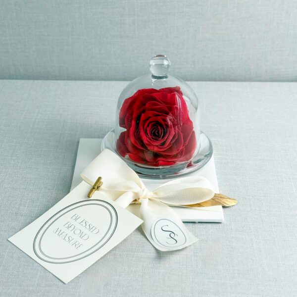 CAPELO DE CRISTAL CON ROSA PRESERVADA - Imagen 5