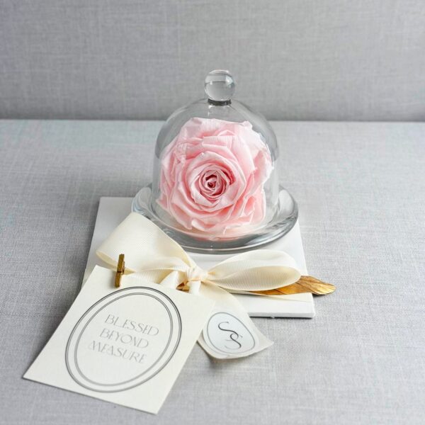 CAPELO DE CRISTAL CON ROSA PRESERVADA - Imagen 3