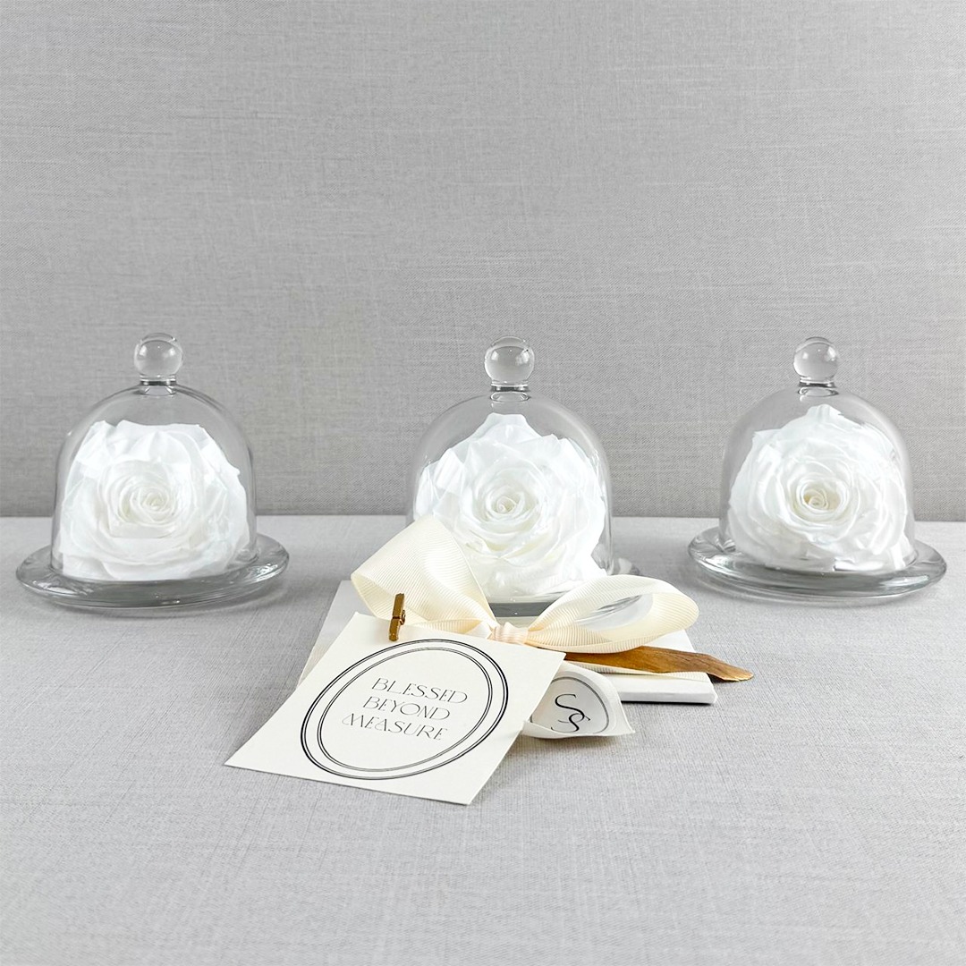 ROSA PRESERVADA EN CAPELO DE CRISTAL