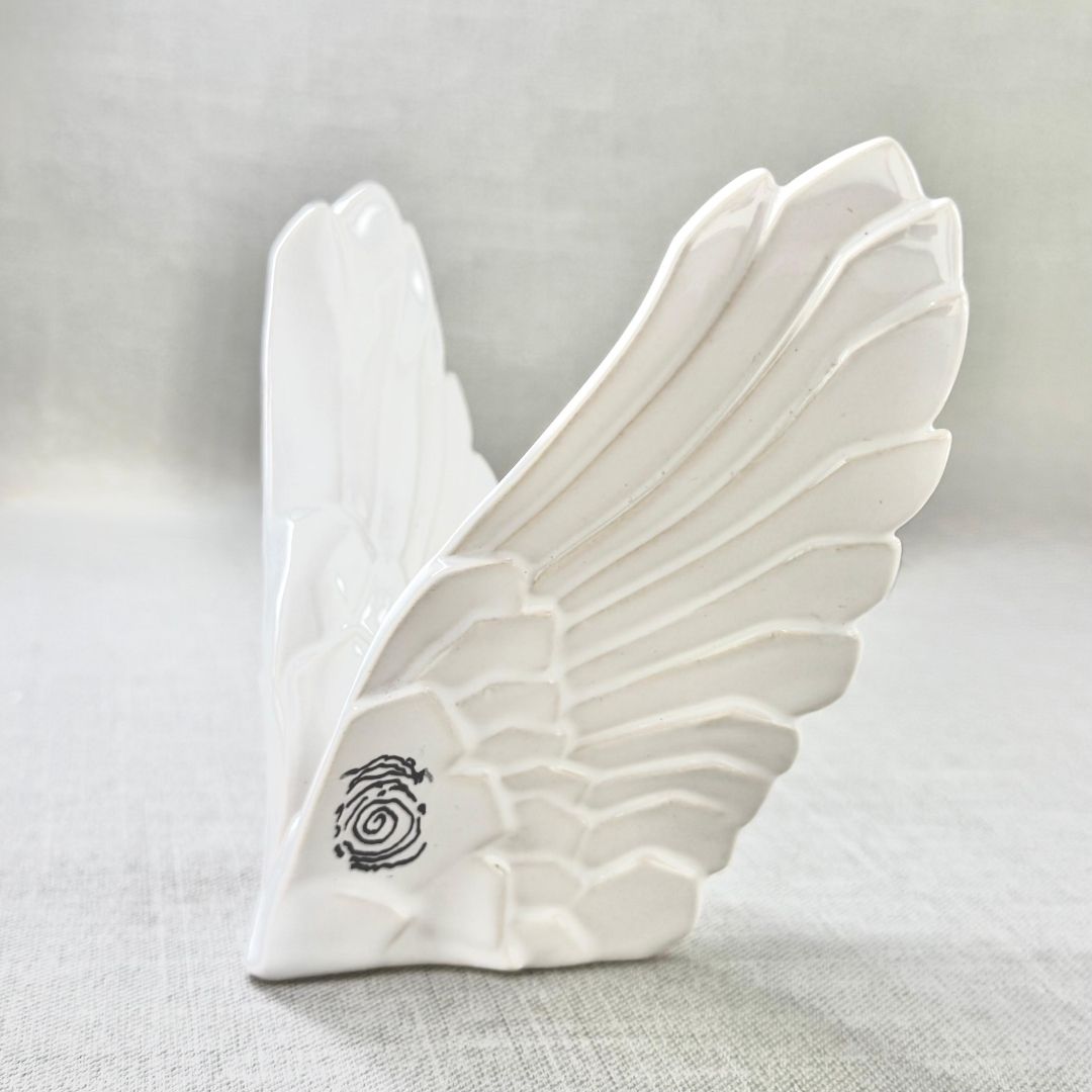 ALAS-ABRAZOS DEL CIELO VISTA DE LADO