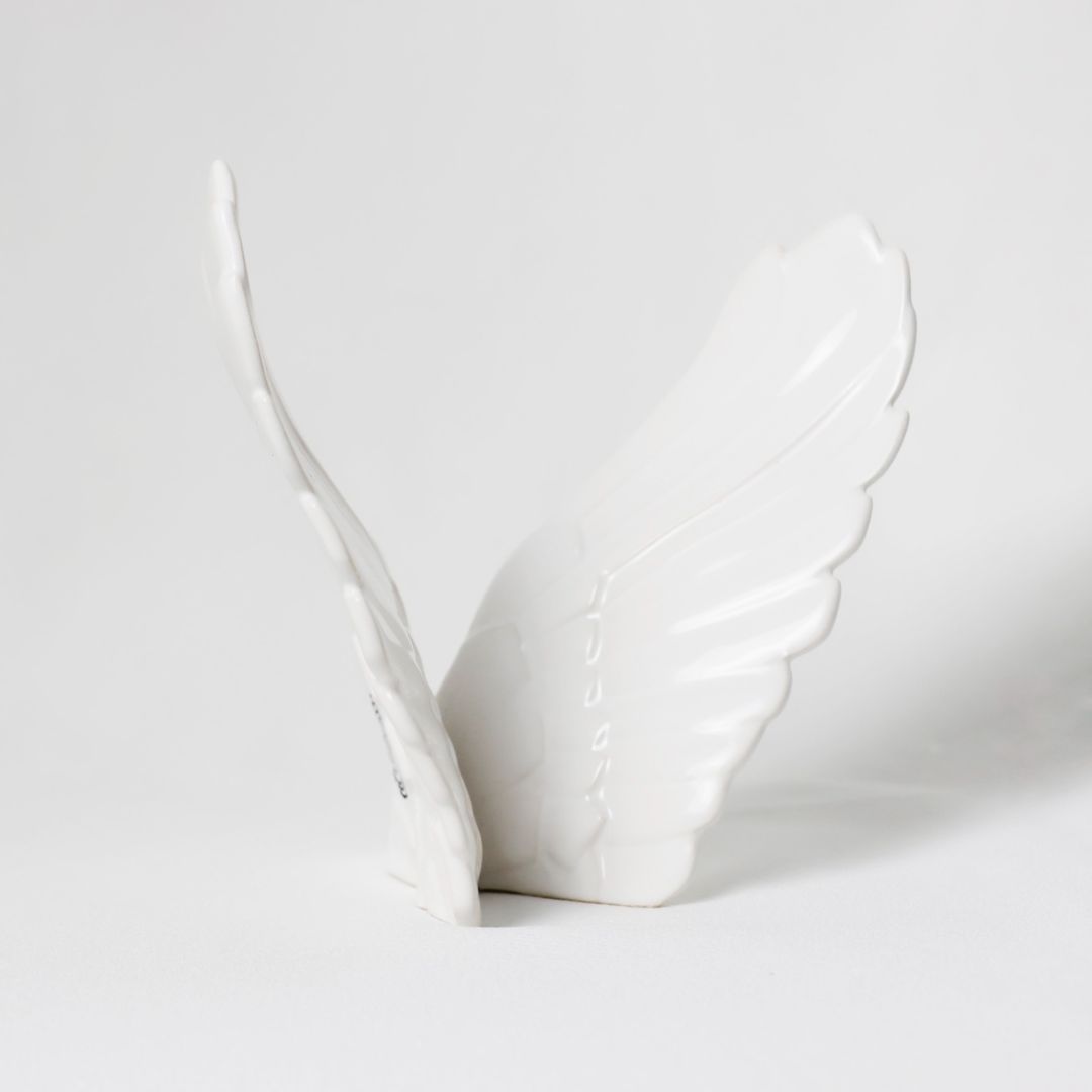 Alas-abrazos-del-cielo-de-lado