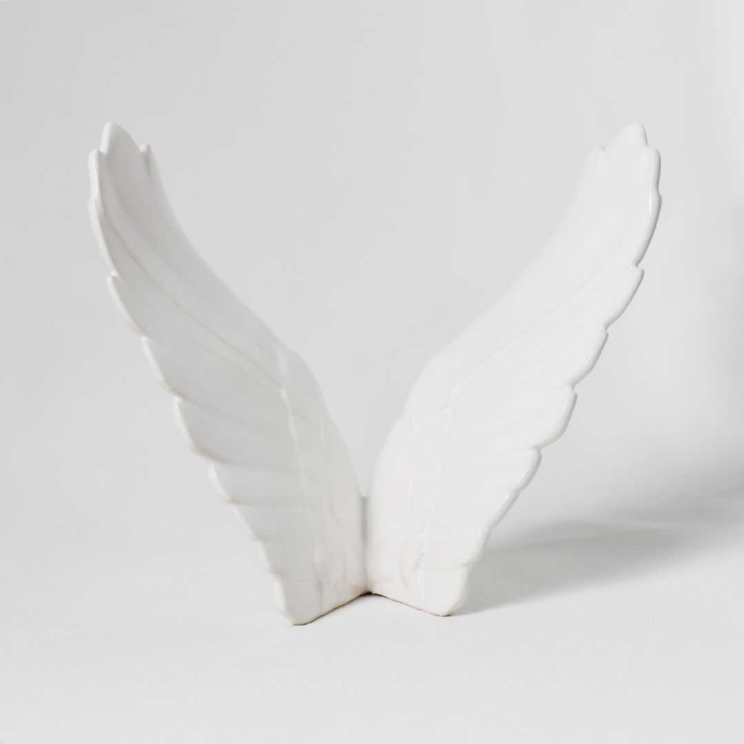 Alas-abrazos-del-cielo-de-detrás