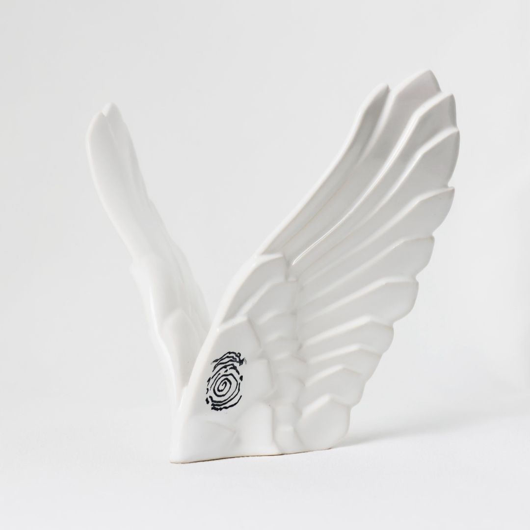 ALAS-ABRAZOS DEL CIELO VISTA DE LADO