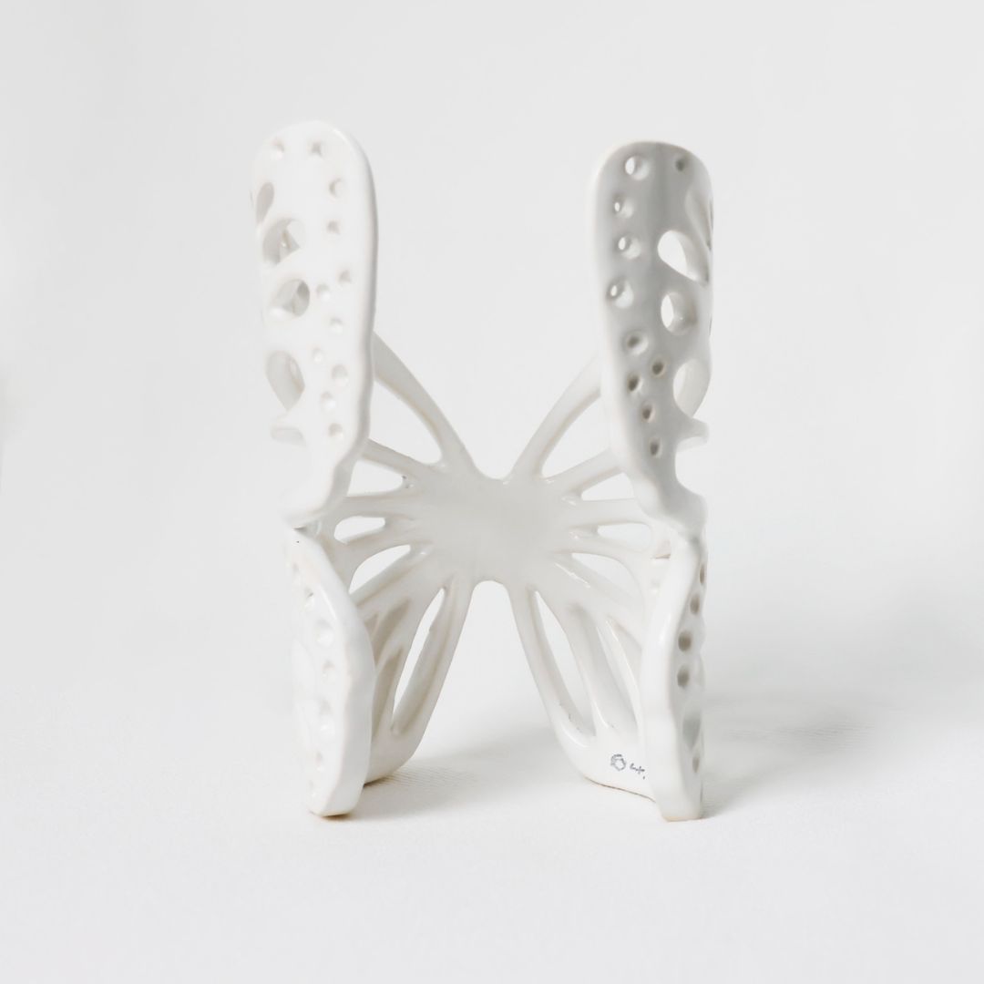 Mariposa perforada 2 detrás