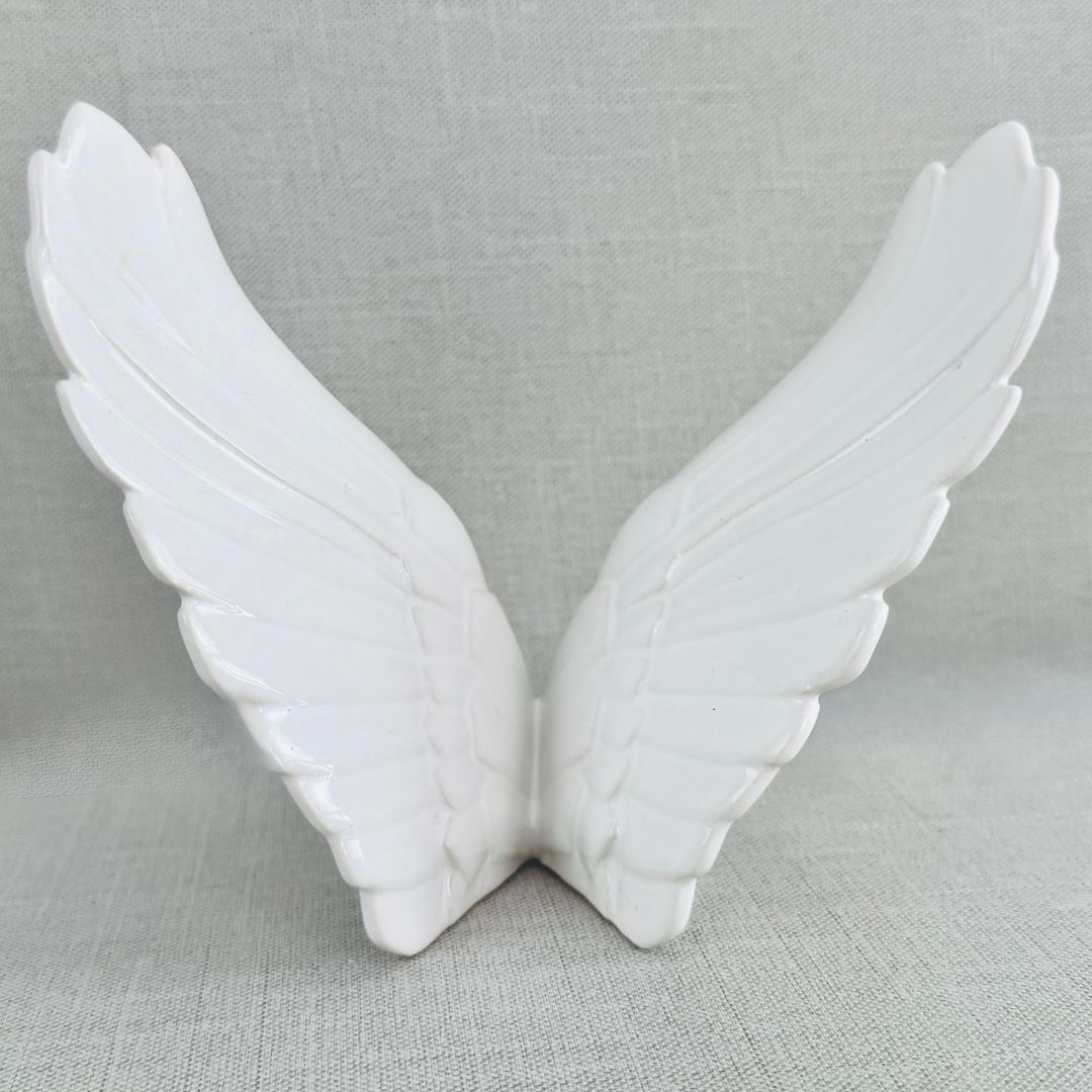 PORTADA ALAS-ABRAZOS DE CIELO