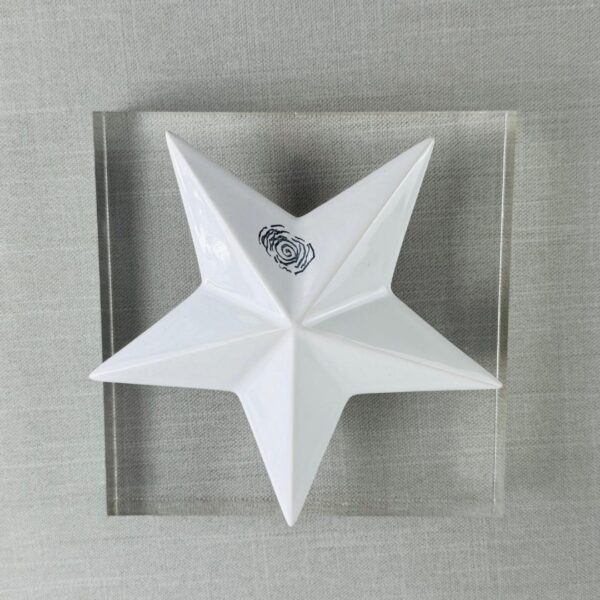 ESTRELLA-ABRAZOS DEL CIELO - Imagen 5