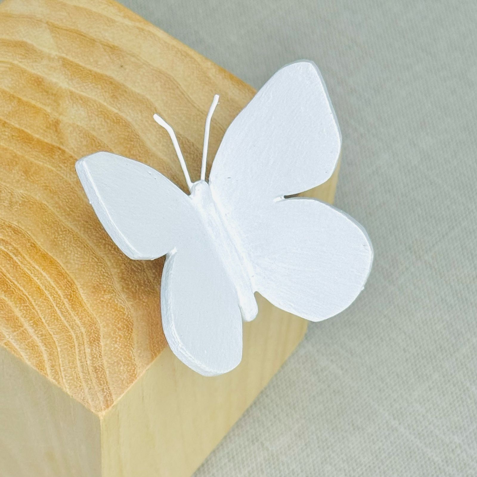 CUBO CON MARIPOSA DE DAVIT NAVA - Imagen 2