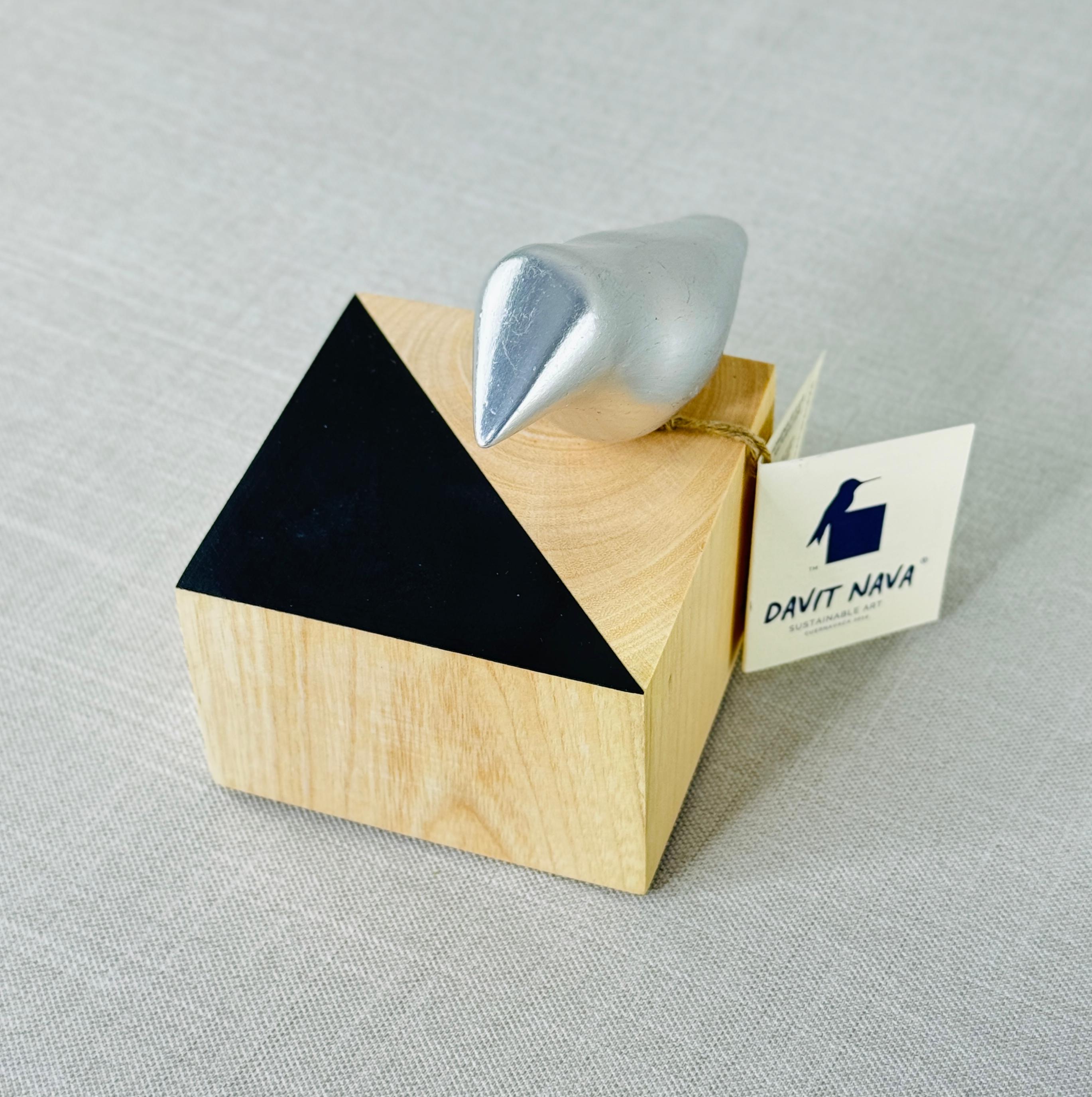 CUBO CON AVE DE DAVIT NAVA - Imagen 3