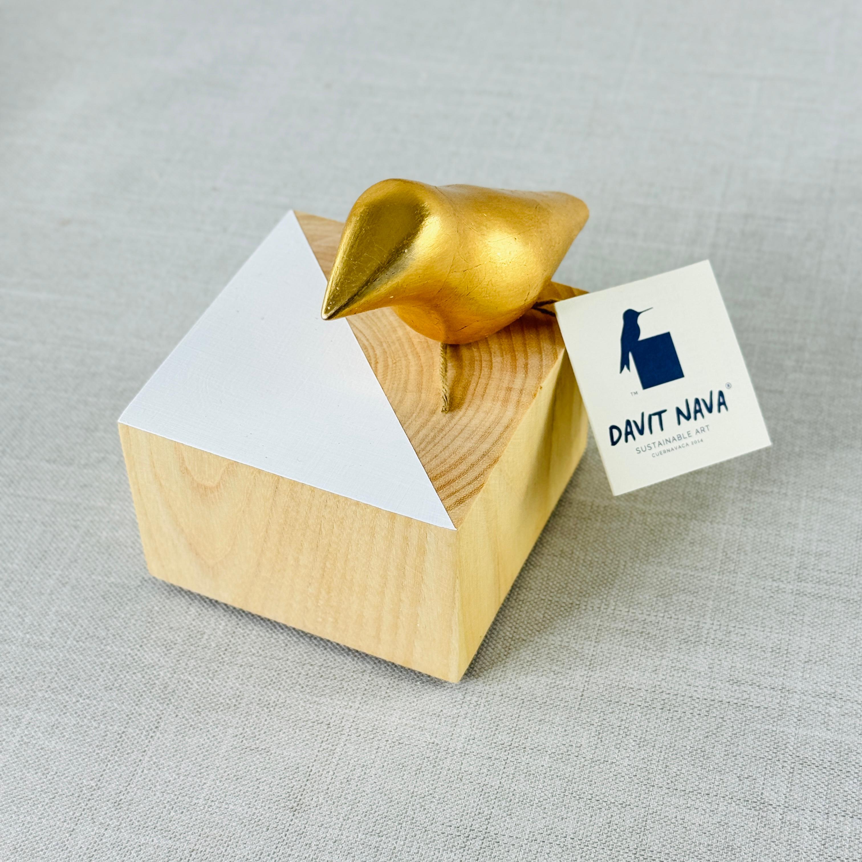 CUBO CON AVE DE DAVIT NAVA - Imagen 2