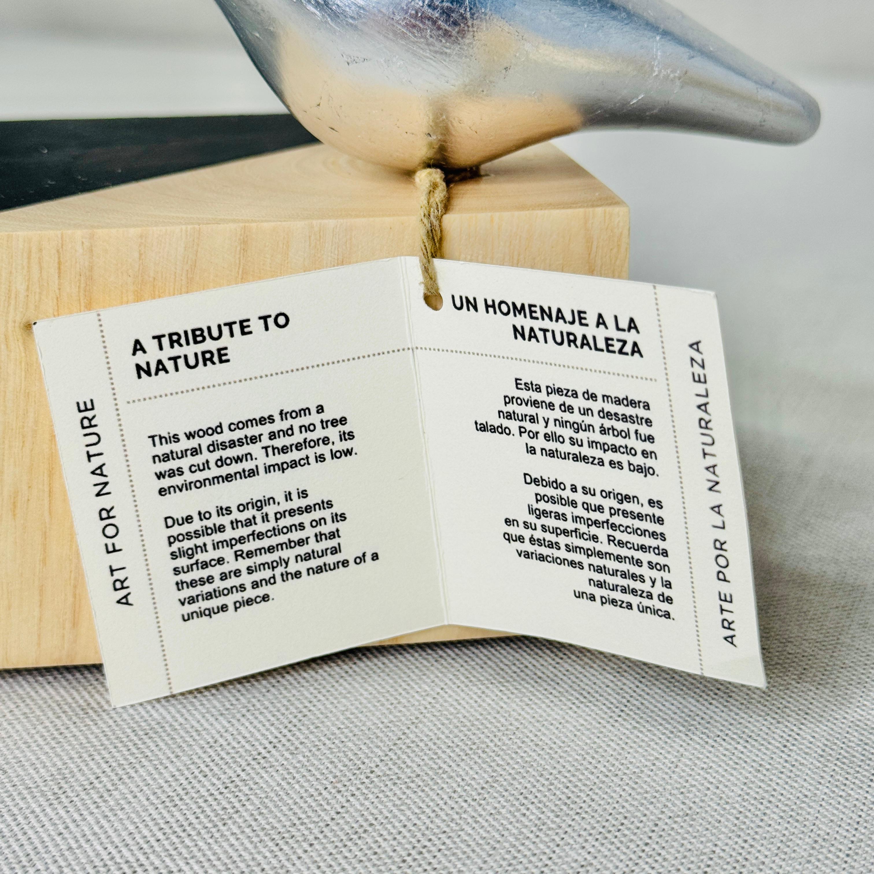 CUBO CON AVE DE DAVIT NAVA - Imagen 4