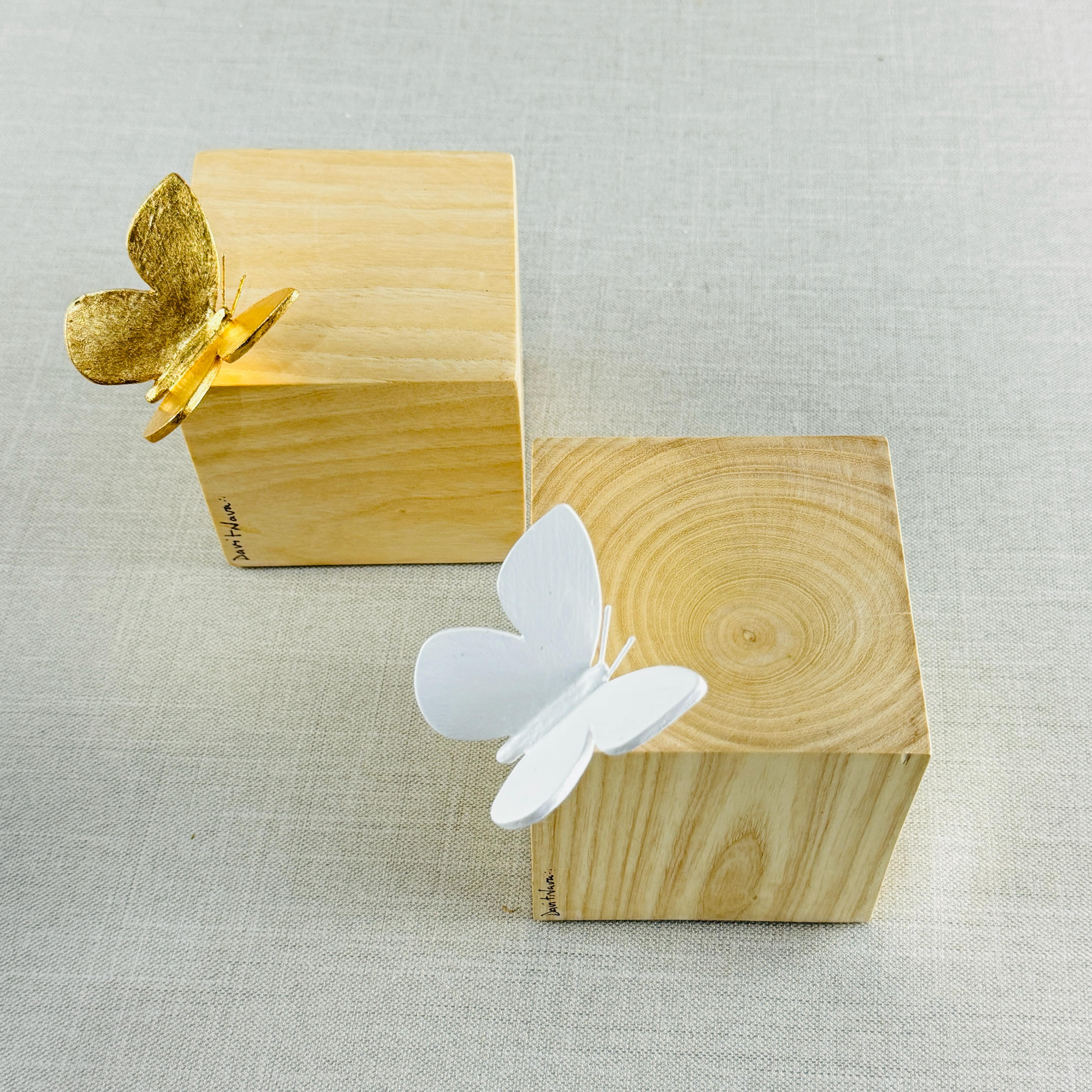 CUBO CON MARIPOSA DE DAVIT NAVA