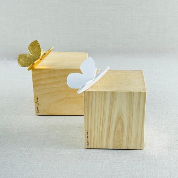 CUBO CON MARIPOSA DE DAVIT NAVA - Imagen 2