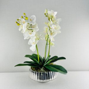 ORQUÍDEA DOBLE EN MACETA PLATEADA