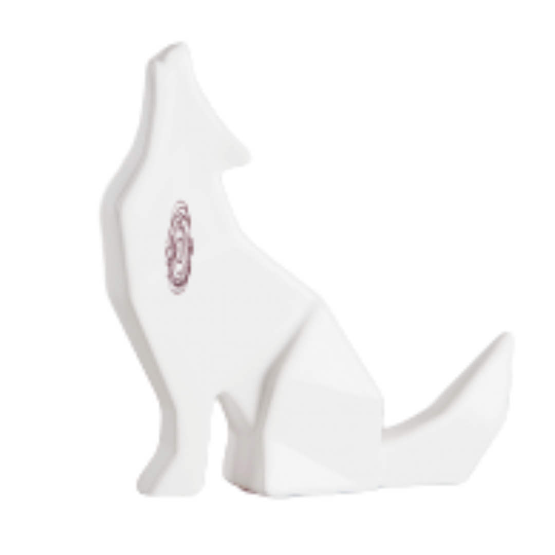 ALVARO CUEVAS COYOTE CHICO