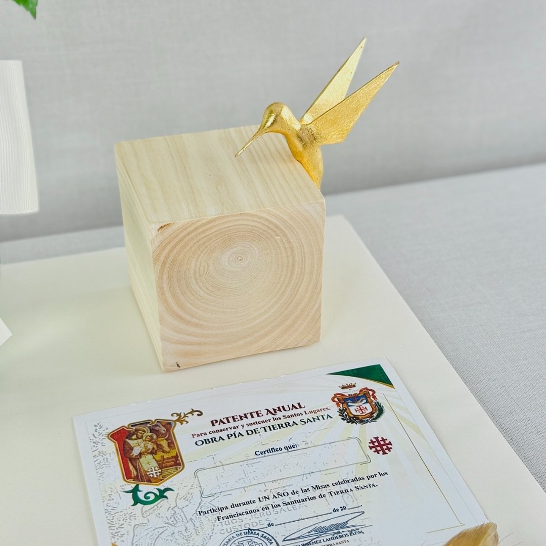 KIT EXPRESS 10 - Imagen 2