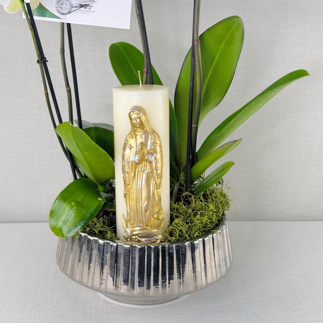 KIT EXPRESS 11 CERCA