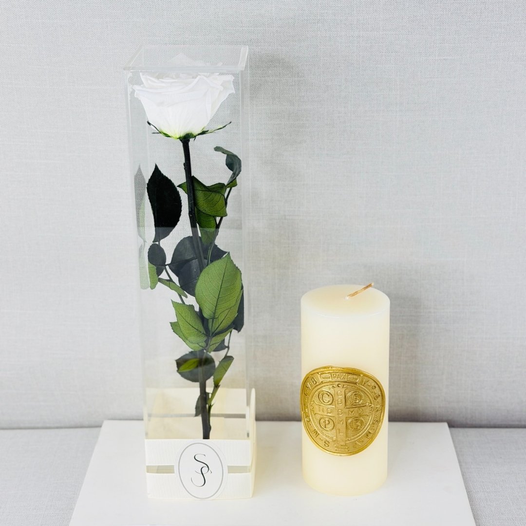 KIT EXPRESS 12 CERCA