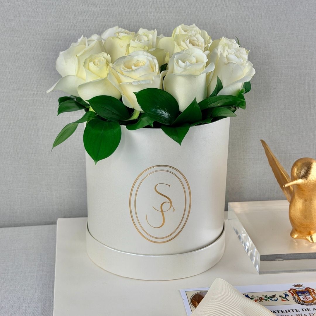 KIT EXPRESS 23 cerca