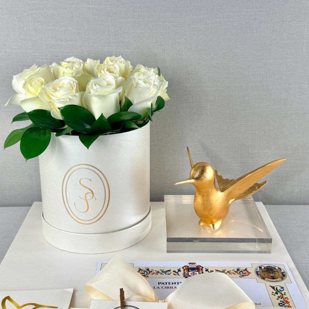 KIT EXPRESS 23 extra