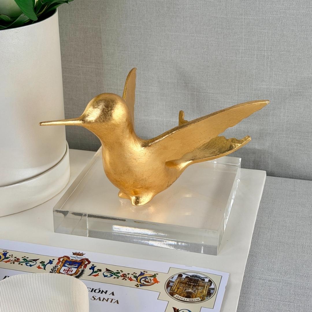 KIT EXPRESS 23 colibri