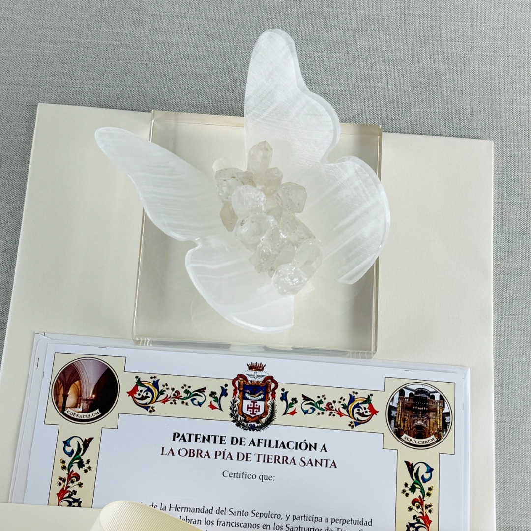 KIT EXPRESS 26 - Imagen 2