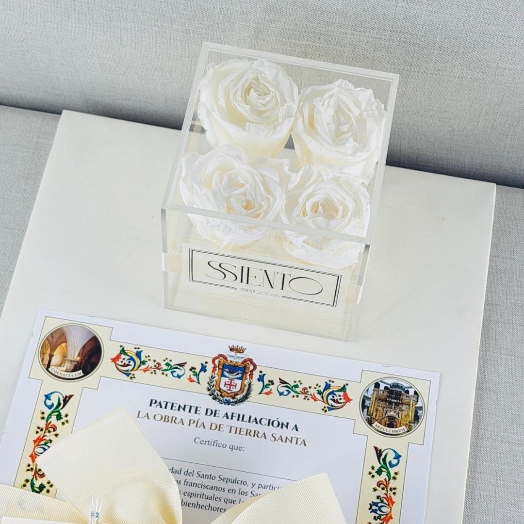 KIT EXPRESS 4 - Imagen 2