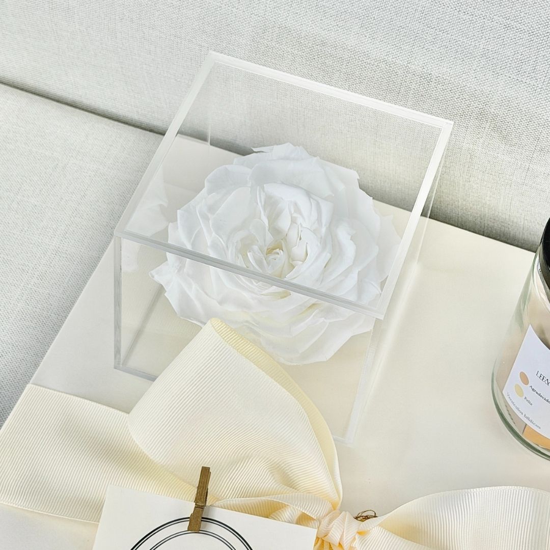 KIT EXPRESS 6 - Imagen 2