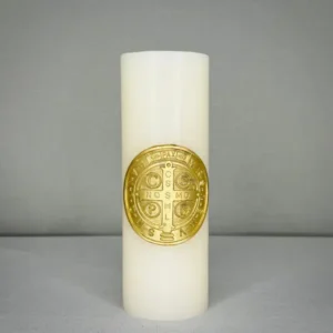 CIRIO CHICO DE SAN BENITO