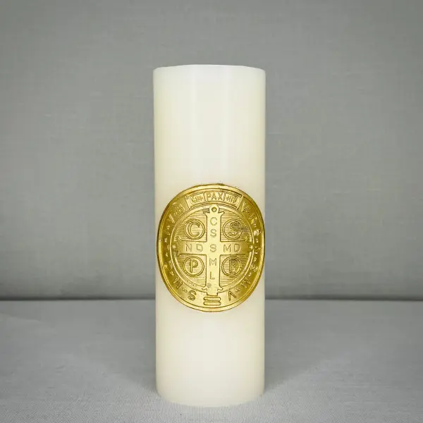 CIRIO CHICO DE SAN BENITO