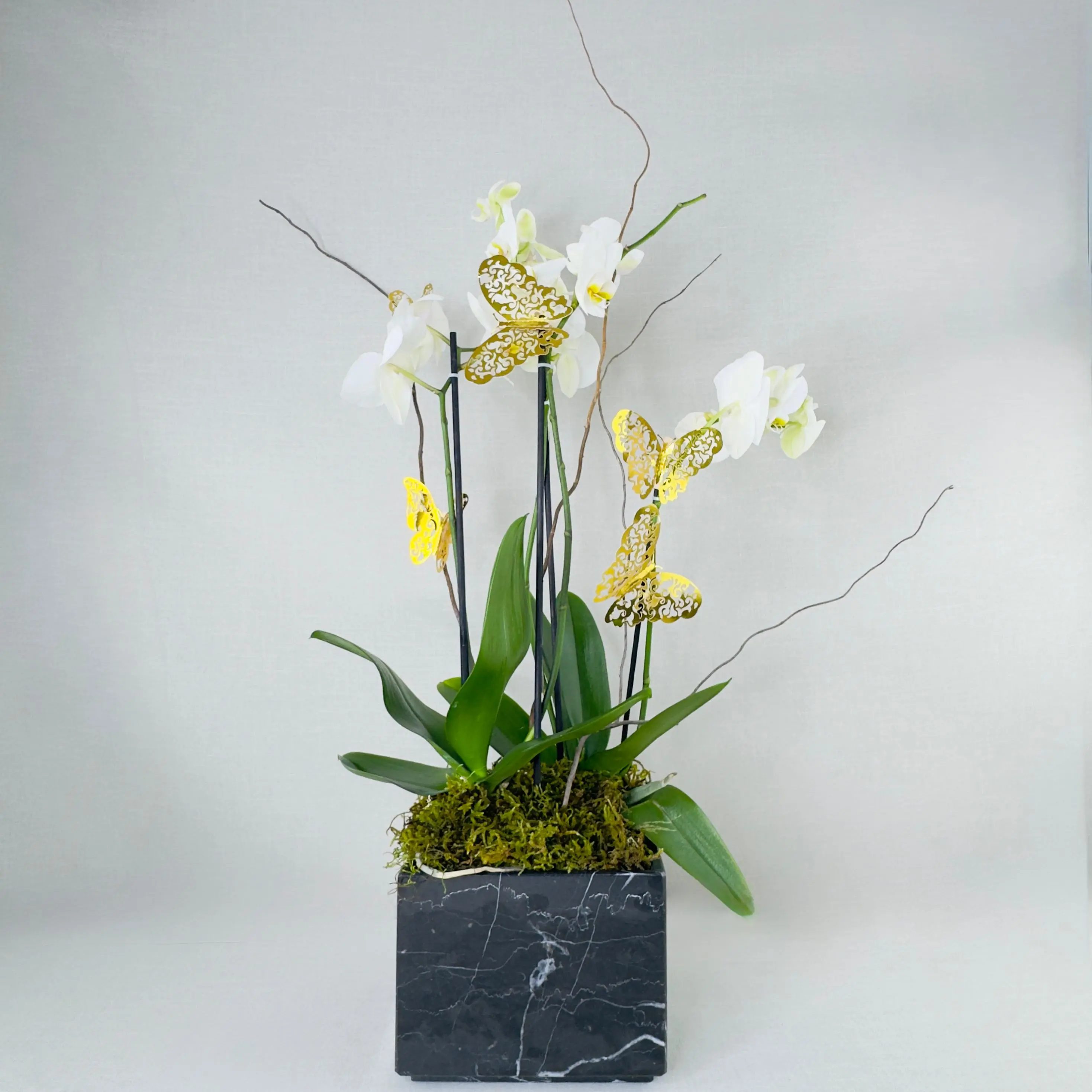 ORQUÍDEA NATURAL DOBLE CON CUATRO VARAS - Imagen 2